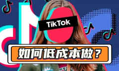 分享已出海的企业做TikTok的低成本方法