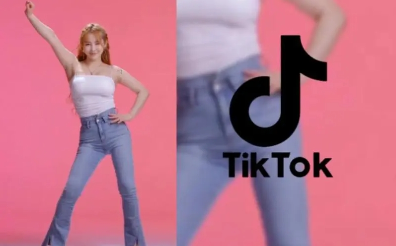 tiktok成人版下载