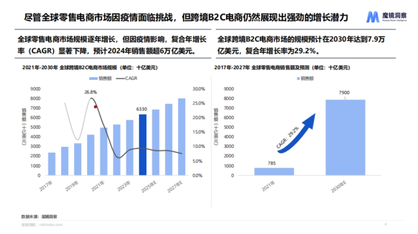 2024年海外家电白皮书-3