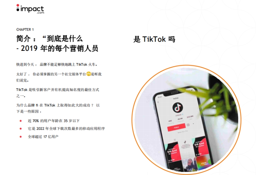 TikTok品牌营销手册-3