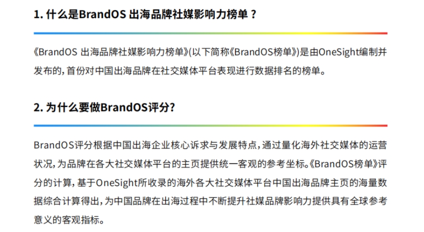 2024年Q4 BrandOS TOP100出海品牌社媒影响力榜单-5