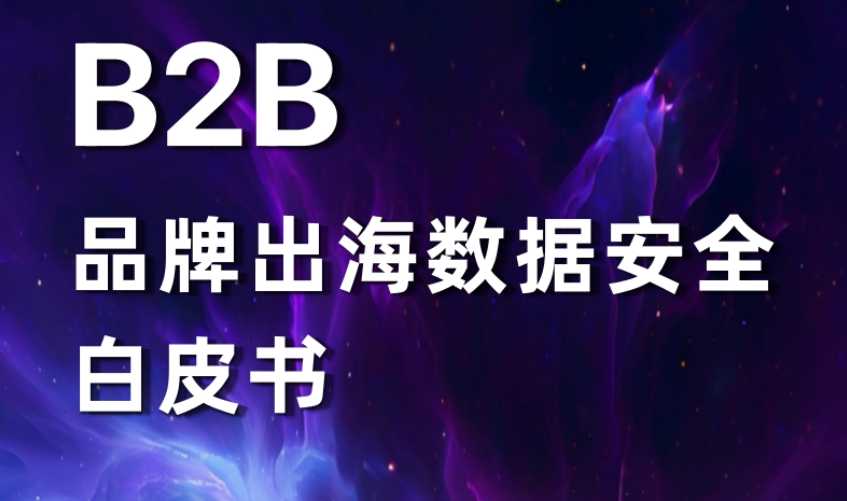 2025年B2B品牌出海数据安全白皮书