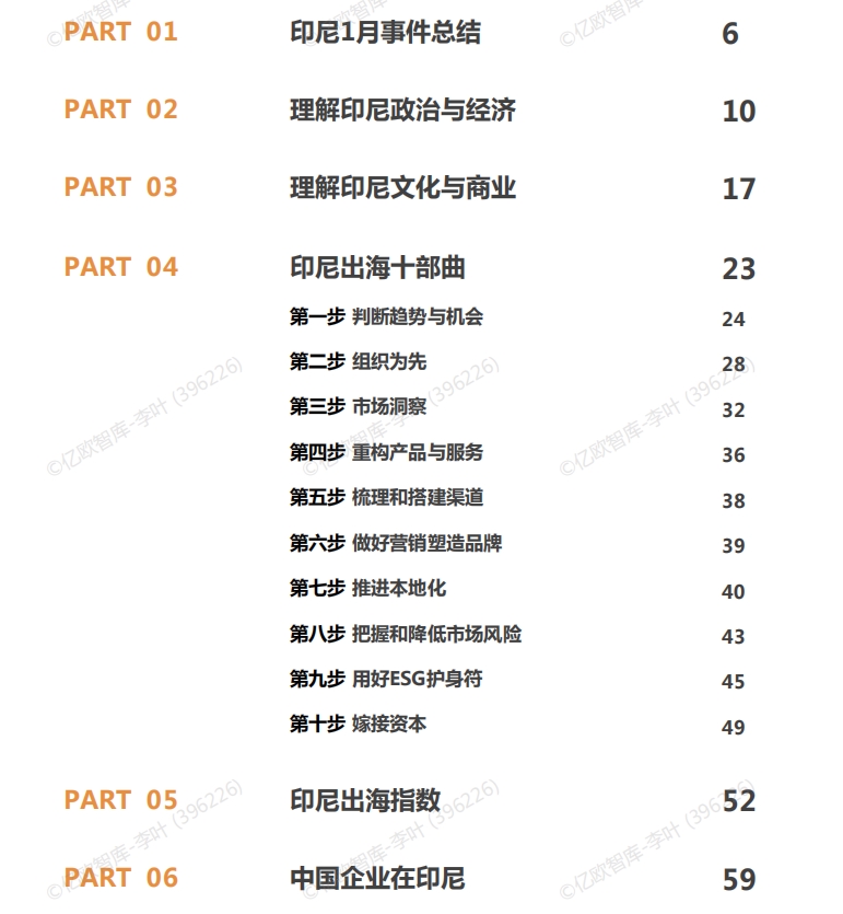 2025中国企业出海印尼月度研究报告-2